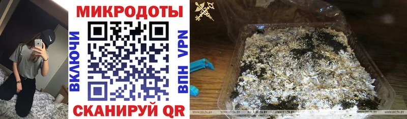Псилоцибиновые грибы Psilocybe цена Собинка